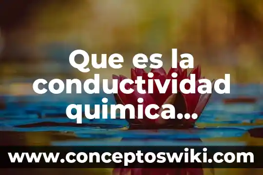 Que es una lectura analitica y sus elementos 8 Que es la conductividad quimica analitica