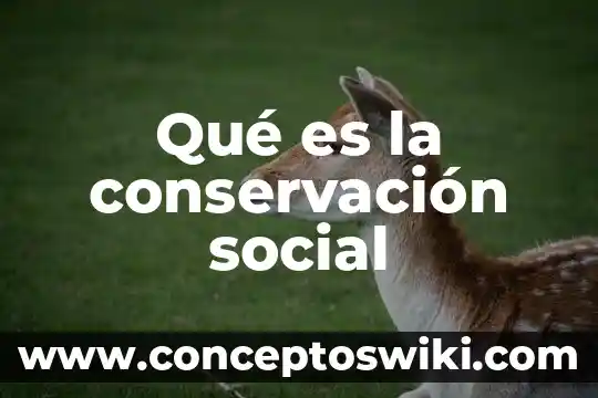 Que es psicologia social y vision psicosocial 7 Qué es la conservación social