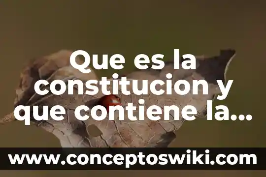 Que es una constitucion unam 3 Que es la constitucion y que contiene la constitucion mexicana