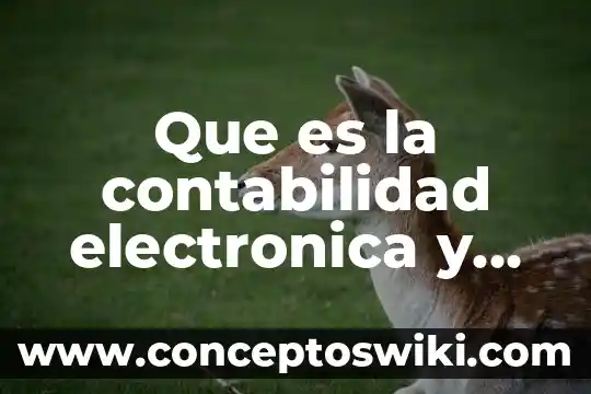 Qué es firma electrónica avanzada fiel 5 Que es la contabilidad electronica y para que sirve