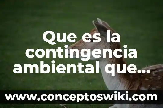 Que es un prgrama se seguimiento ambiental 6 Que es la contingencia ambiental que es