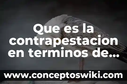 Qué es el imperialismo en términos políticos 3 Que es la contrapestacion en terminos de franquicia