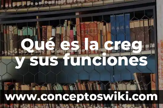 Que es funciones en calculo diferencial 5 Qué es la creg y sus funciones