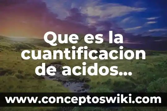 Qué es ácidos grasos en medicamentos 7 Que es la cuantificacion de acidos nucleicos