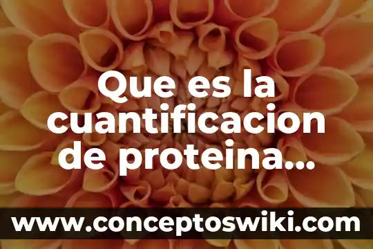 Qué es más malo un celular o rayos de sol 5 Que es la cuantificacion de proteina celular