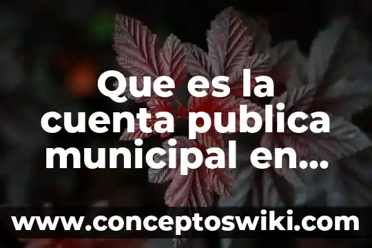 Qué es un relacionista pública 5 Que es la cuenta publica municipal en asechiapas