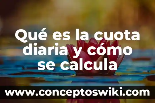 Para que es importante el agua en la vida diaria 7 Qué es la cuota diaria y cómo se calcula