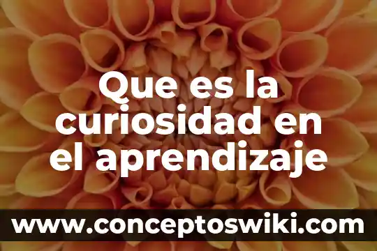 Qué es una barrera de aprendizaje 6 Que es la curiosidad en el aprendizaje