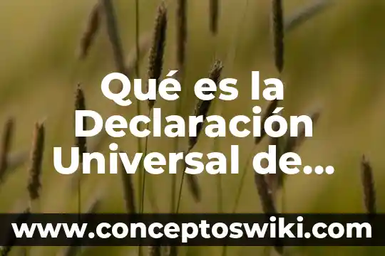 Por qué es importante el sol para los seres humanos 3 Qué es la Declaración Universal de los Derechos Humanos