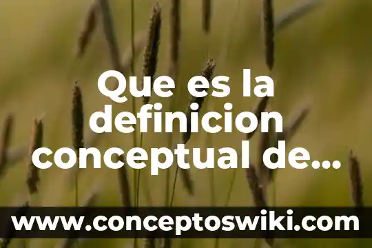 Qué es la estructura de un mapa conceptual 4 Que es la definicion conceptual de un proyecto