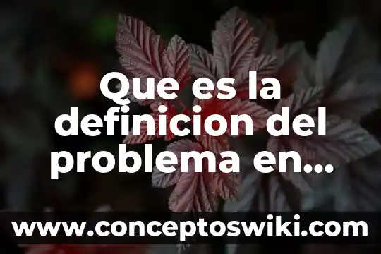 Que es el antiguo problema del camizal 3 Que es la definicion del problema en un tesis