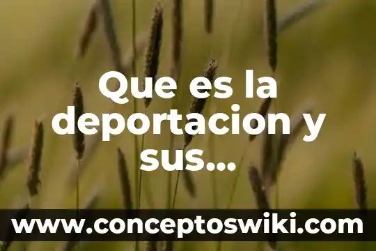 Residente permanente mexico que es caracteristicas 8 Que es la deportacion y sus caracteristicas