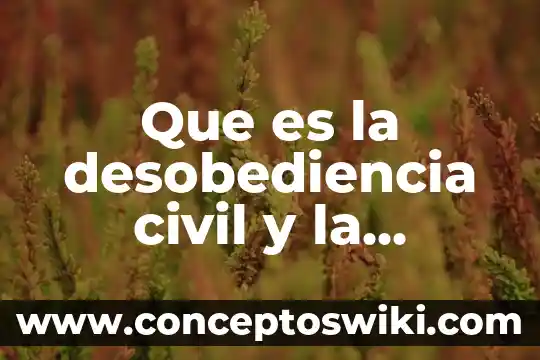 Que es una resistencia de salvaguarda de una computadora 6 Que es la desobediencia civil y la resistencia civil