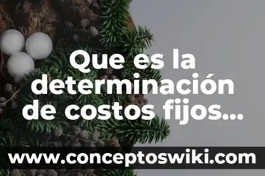 Que es la determinacion de planta en una micro empresa 3 Que es la determinación de costos fijos y específicos