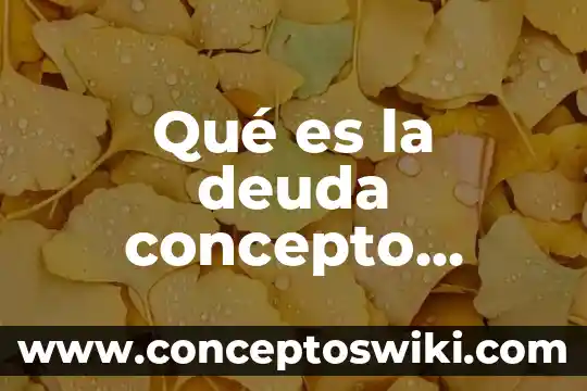 Que es la deuda publica de un pais 6 Qué es la deuda concepto jurídico