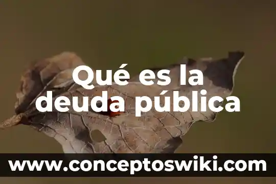 Que es la deuda publica de un pais 4 Qué es la deuda pública