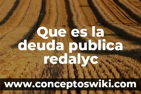 Que es la deuda publica de un pais 3 Que es la deuda publica redalyc