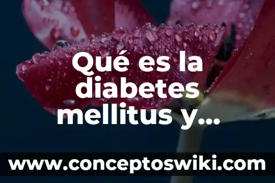 Que es innovacion y sus caracteristicas 4 Qué es la diabetes mellitus y características