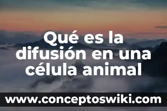 Que es una celula en excel 4 Qué es la difusión en una célula animal