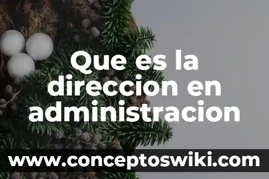 Que es la premisa para la administración 4 Que es la direccion en administracion