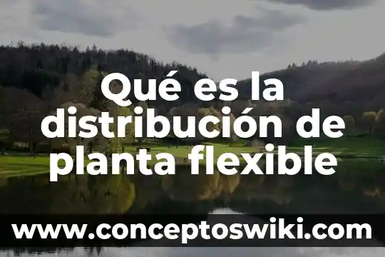 Que es un periodo de tiempo flexible ao 5 Qué es la distribución de planta flexible