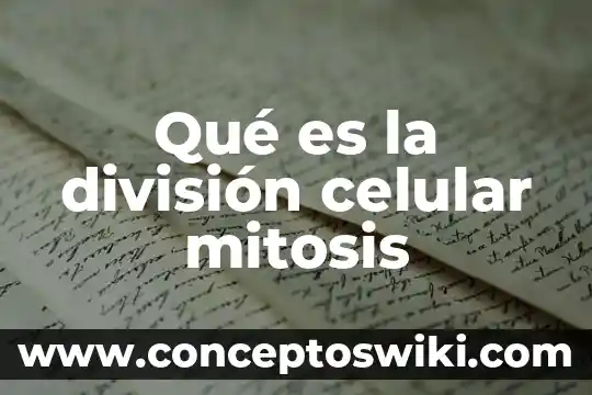 Qué es el poro celular animal 8 Qué es la división celular mitosis
