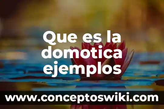 Que es plurilingüismo ejemplos 6 Que es la domotica ejemplos