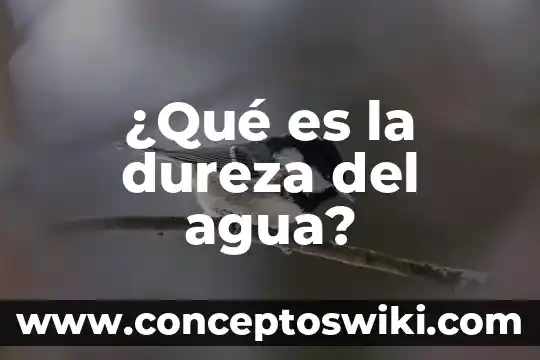 Que es el agua otable 6 ¿Qué es la dureza del agua?