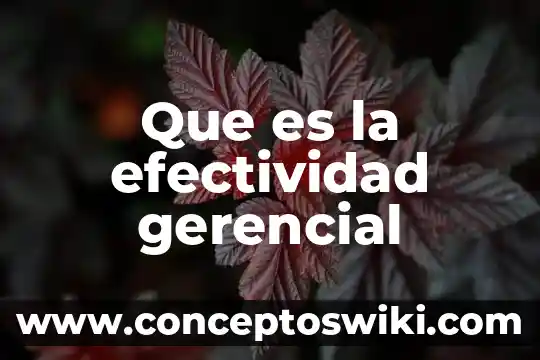 Que es modelo de negocios como materia 3 Que es la efectividad gerencial