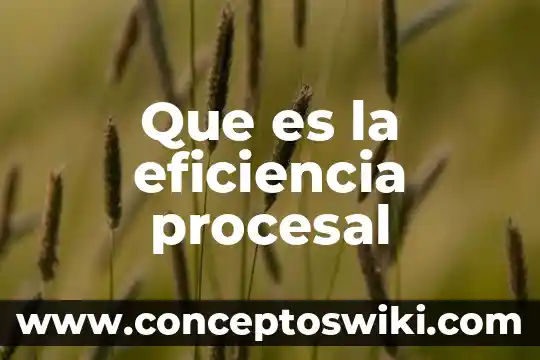 Que es la recusion procesal 6 Que es la eficiencia procesal