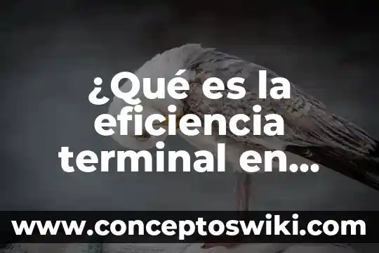 Que es el triangulo para primaria 8 ¿Qué es la eficiencia terminal en primaria?