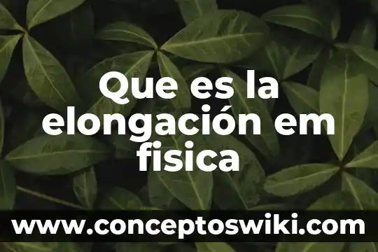Que es salpico vacio em cecias naturases 3 Que es la elongación em fisica