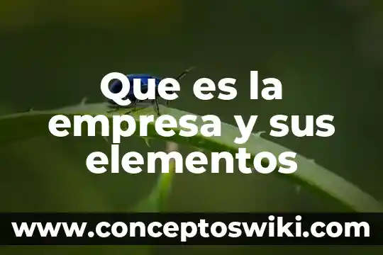 Qué es una empresa sólida 4 Que es la empresa y sus elementos