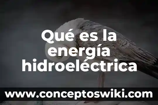 Fuente de producción de energía que es inagotable 3 Qué es la energía hidroeléctrica