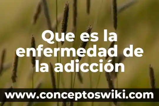 Que es la enfermedad de esquizofrenia 8 Que es la enfermedad de la adicción