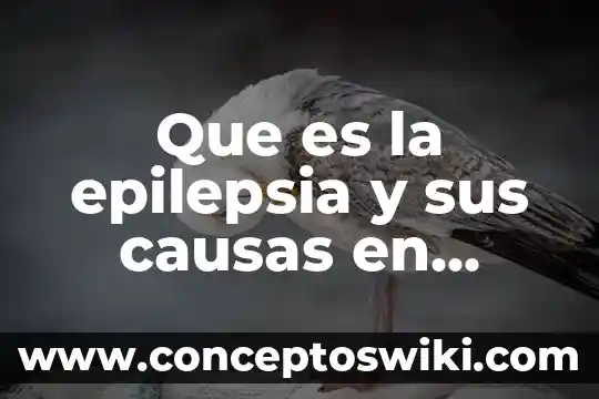 Qué es bueno para el mordido de los bebés 8 Que es la epilepsia y sus causas en bebes