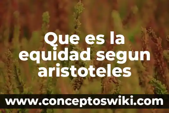 Que es equidad e inclusion educativa 5 Que es la equidad segun aristoteles