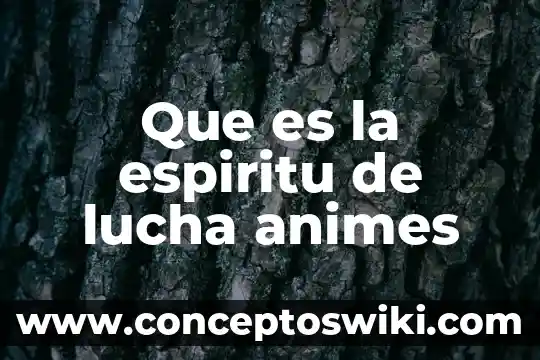 Que es espíritu de lucha definición 3 Que es la espiritu de lucha animes