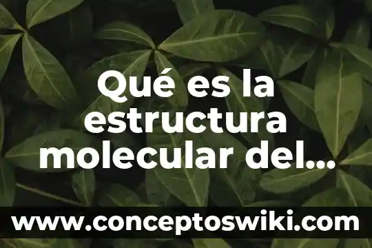 Que es agua de linaza 3 Qué es la estructura molecular del agua