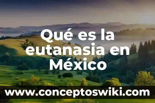 Que es la ley de propiedad intelectual en mexico 5 Qué es la eutanasia en México