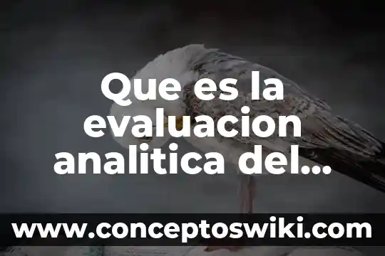 Que es la conductividad quimica analitica 5 Que es la evaluacion analitica del paciente en fisioterapia
