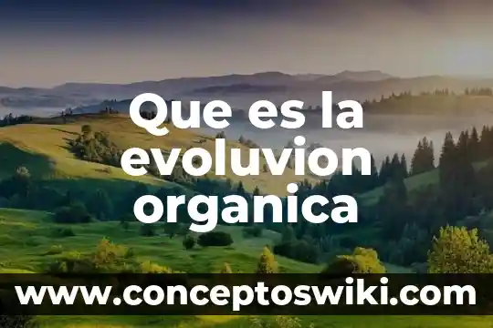 Qué es agricultura orgánica 8 Que es la evoluvion organica