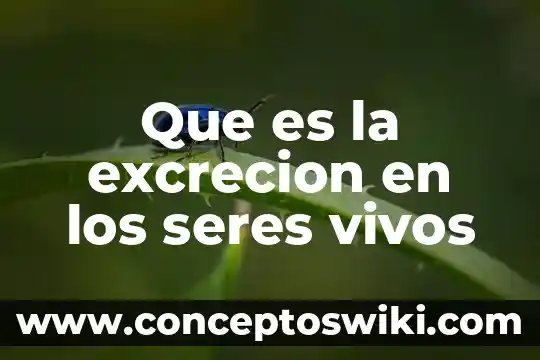 Qué es malla sol 4 Que es la excrecion en los seres vivos