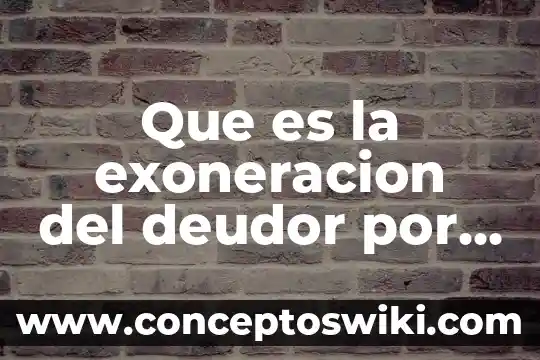 Concepto que es un deudor alimentista en derecho mexicano 6 Que es la exoneracion del deudor por fuerza mayor
