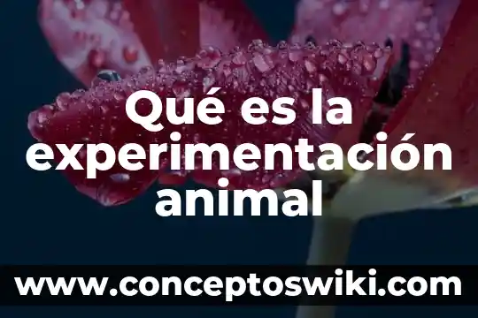 Que es un solitario animal 8 Qué es la experimentación animal