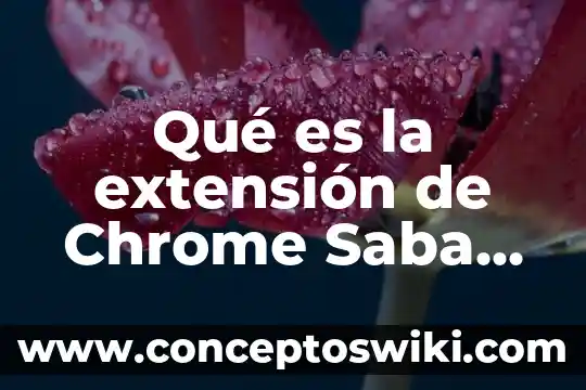 Qué es una extensión en base de datos 4 Qué es la extensión de Chrome Saba Mething