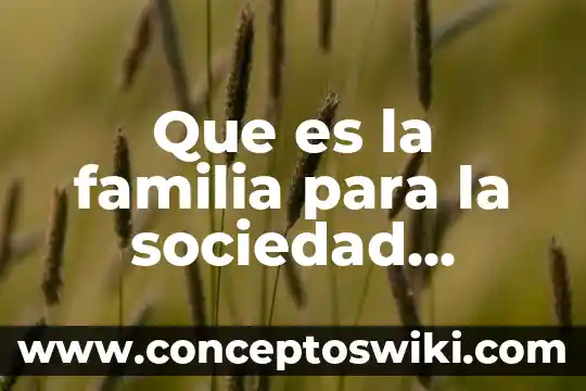 Que es ser sociedad 6 Que es la familia para la sociedad actual