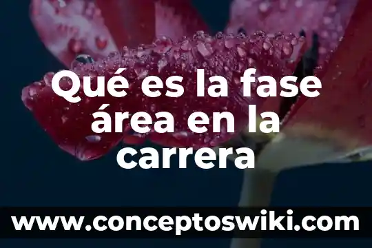 Qué es rancisión de fase en física 4 Qué es la fase área en la carrera