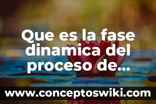 Qué es rancisión de fase en física 3 Que es la fase dinamica del proceso de administracion