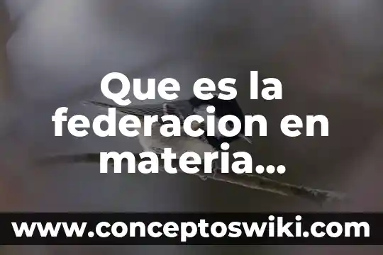 Que es desetralizacion politica y administrativa 7 Que es la federacion en materia administrativa